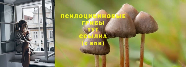 ALPHA-PVP Армянск