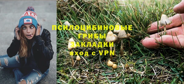 экстази Арсеньев