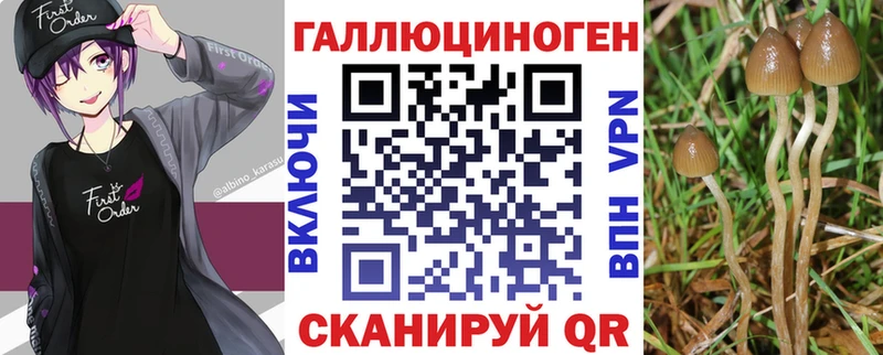 Галлюциногенные грибы мухоморы  Купить где  Верхоянск 